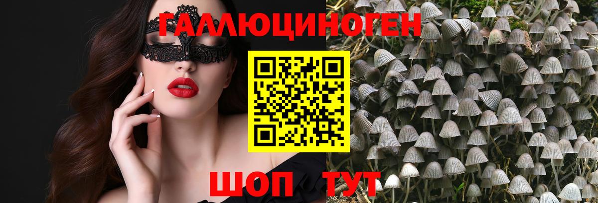 Псилоцибиновые грибы прущие грибы  Вход с VPN  Муравленко  где продают   Псилоцибиновые грибы MAGIC MUSHROOMS 