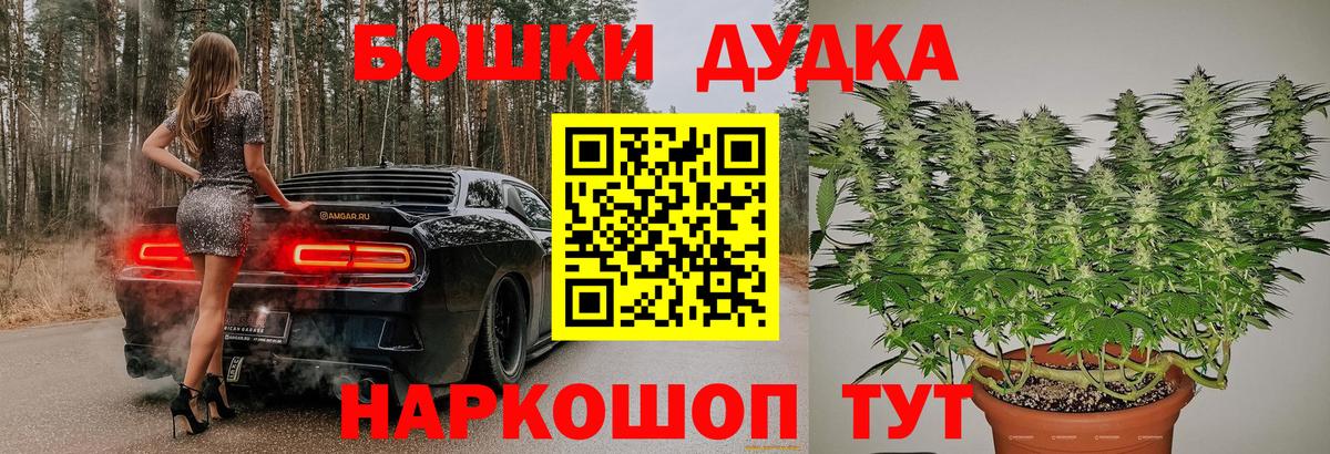 Каннабис OG Kush Муравленко